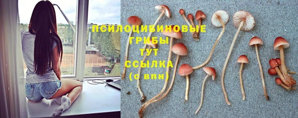 СК Алексеевка