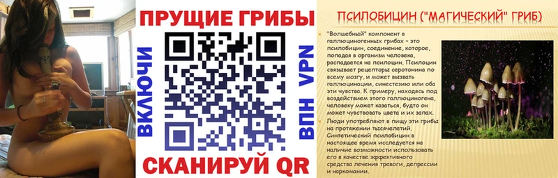 Псилоцибиновые грибы Cubensis Братск